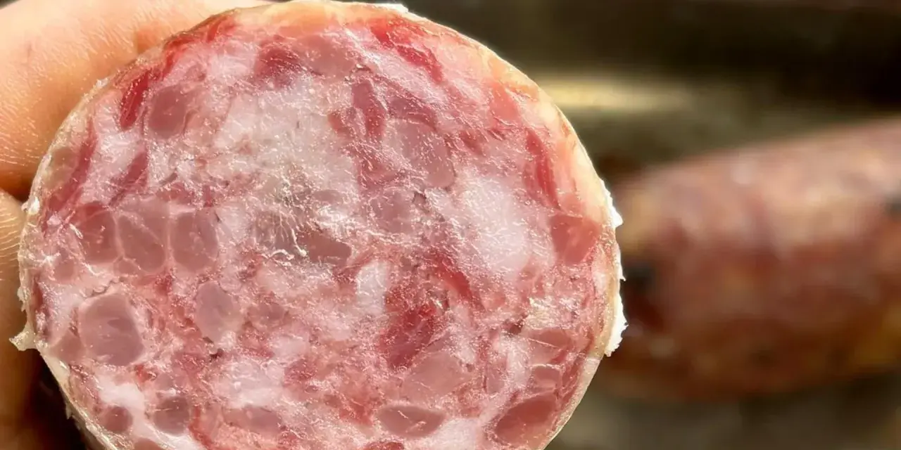 Fetta di cotechino, un salume cotto, mostra la sua carne macinata con grasso e cotenna.