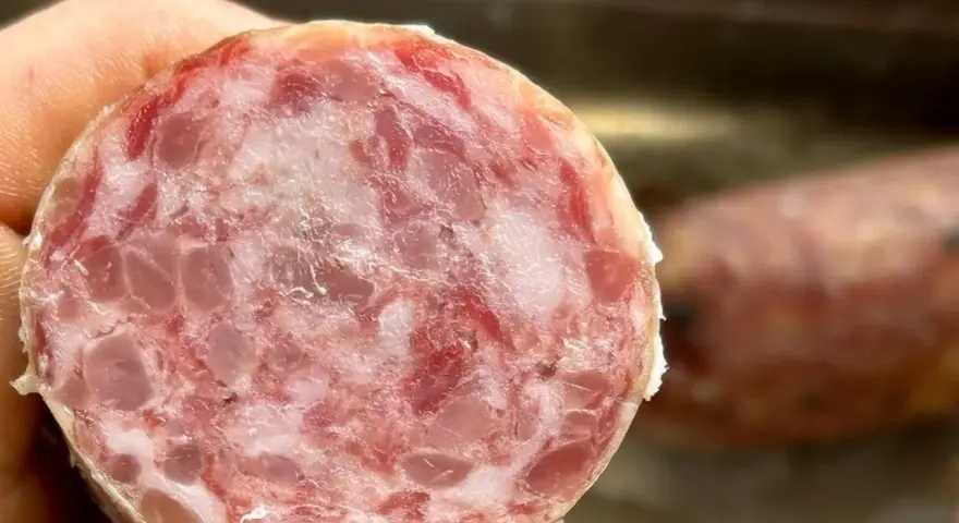 Fetta di cotechino, un salume cotto, mostra la sua carne macinata con grasso e cotenna.